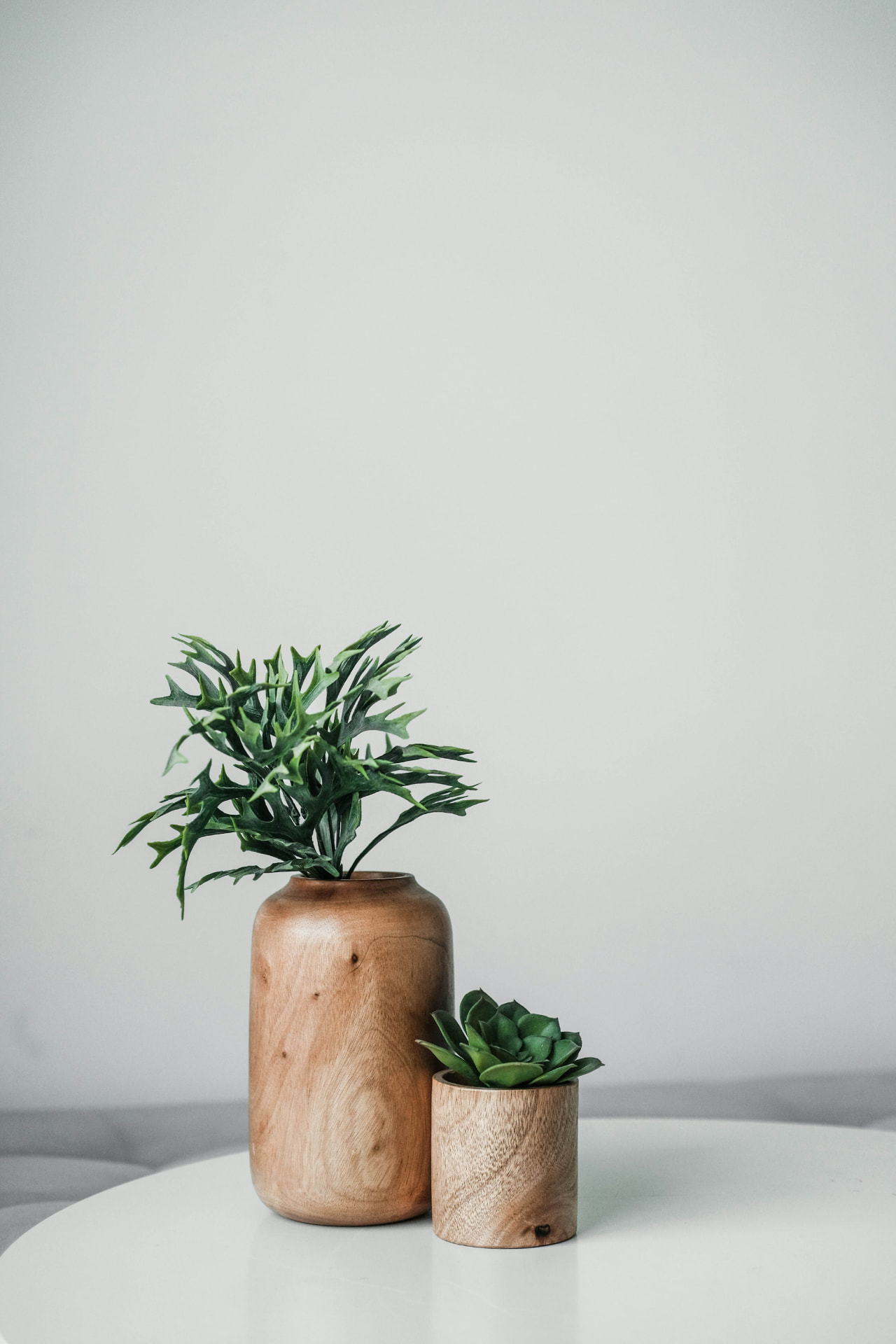 Vasos de madeira com plantas sobre mesa branca